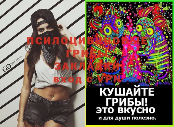 apvp Аркадак