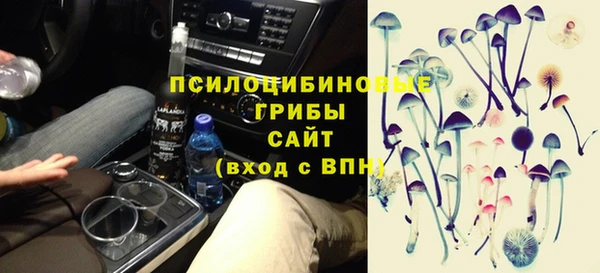 тгк Арсеньев