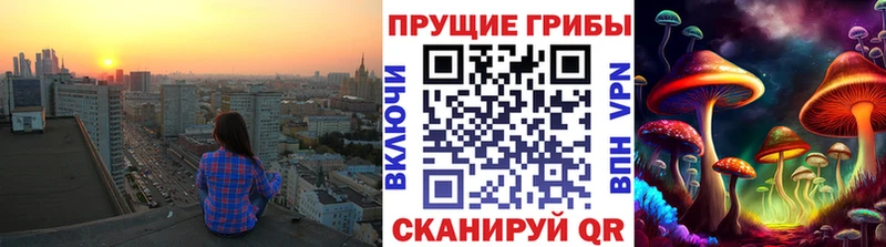 гидра как войти  продажа наркотиков  Боровск  Псилоцибиновые грибы прущие грибы 